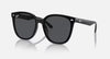Ray Ban 0RB4423D-601/87-66 Dark Grey Polished Black