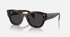 RAY BAN JORGE 0RB7681SF-902/48-52 Black Polished Havana