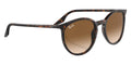 BOLD By BLAZON - Havana (902/51) Sunglasses with Clear/Brown lenses (RB2204 902/51 51/54) by Ray-Ban