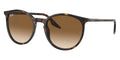 BOLD By BLAZON - Havana (902/51) Sunglasses with Clear/Brown lenses (RB2204 902/51 51/54) by Ray-Ban