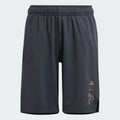 ADIDAS MEN B DY LK SHO SHORTS