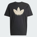Adidas Men-SKELETON TR TEE T-shirt
