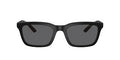 EMPORIO ARMANI EA4249U 500181 Sunglasses
