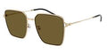 Emporio Armani 0EA2159D-301373-57 Shiny Pale Gold/Dark Brown