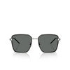 Emporio Armani EA2159D Sunglasses 301487 shiny gunmetal / black