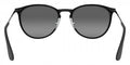 Ray-Ban™ Erika Metal 8053672587685 - Black