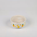 1 NOM Pineapple & Dog Food Storage Container