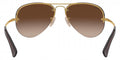 Ray-Ban™ 805289453024 Arista