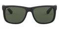 Ray-Ban™ Justin 8053672476194 Black