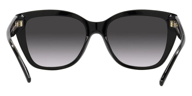 Emporio Armani EA4198 50178G _ Woman