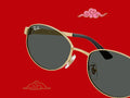 Ray-Ban  _ 0RB3774D-001/87-55 _ Unisex