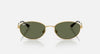 Ray-Ban _ 0RB3774D-001/9A-55 _ Unisex