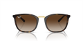 RAYBAN RB 4410I 710/13 WOMEN SUNGLASSES HAVANA