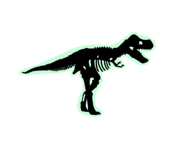 Crocs JIBBITZ™ GLOW IN THE DARK DINO