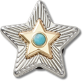CROCS JIBBITZ™ CHARM SILVER TURQUOISE STAR