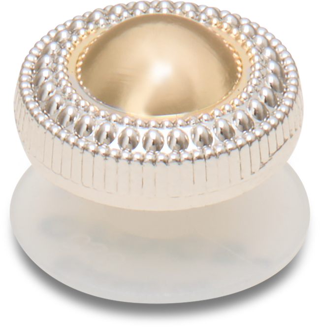 CROCS JIBBITZ™ CHARM SMALL GOLD WESTERN STUD