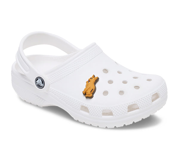 Crocs JIBBITZ™ CHARM Abyssinian Cat