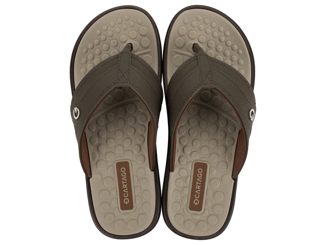 CARTAGO MEN VENETO III DEDO AD BROWN/BROWN/BEIGE 212452 Ipanema Adult