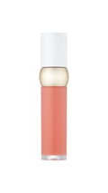 NEW BOLD VELVET FIXING TINT 01 NATURAL VIBE
