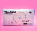 1NOM Pearl Texture Disposable Facial Cleansing Tissue - 100 Pcs