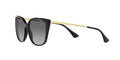 Vogue 0VO5435SIW44/1155 Black Full Rim Cateye Sunglasses