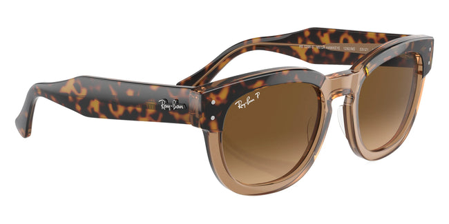 BOLD By BLAZON - Havana on Transparent Brown (1292M2) Sunglasses with Brown Polarized lenses (Mega Hawkeye RB0298S 1292M2 53) by Ray-Ban