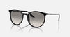 BOLD By BLAZON - Black (901/32) Sunglasses with Clear/Gray lenses (RB2204 901/32 51/54) by Ray-Ban