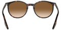 BOLD By BLAZON - Havana (902/51) Sunglasses with Clear/Brown lenses (RB2204 902/51 51/54) by Ray-Ban