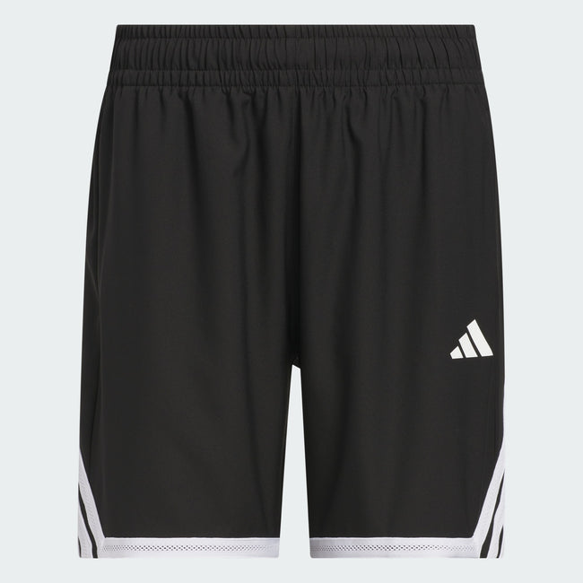 Adidas Shorts Men PL ES GFX  SHO KT2116
