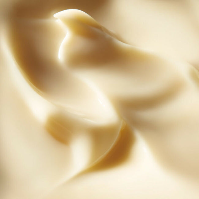 SHISEIDO BENEFIANCE WRINKLE SMOOTHING CREAM ENRICHED