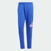 ADIDAS MEN M FI BOS PT OLY Pants