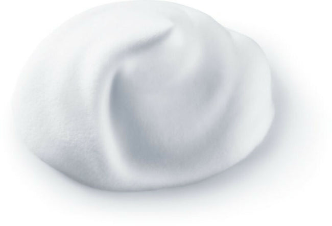 SHISEIDO CLARIFYING CLEANSING FOAM