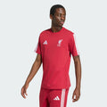 Adidas T-shirt Men LFC DNA TEE KG2489