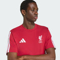 Adidas T-shirt Men LFC DNA TEE KG2489