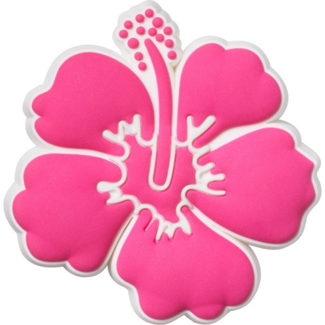 Pink Hibiscus