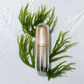SHISEIDO BENEFIANCE WRINKLE SMOOTHING SERUM