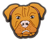 Pitbull