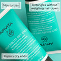 APIVITA Oily Roots and Dry Ends Balancing Conditioner 150ml