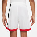 B-NK-DF-HBR-BASKETBALL-SHORT