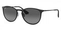 Ray-Ban™ Erika Metal 8053672587685 - Black