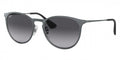 Ray-Ban™ Erika Metal 8053672565409 Metallic Gray