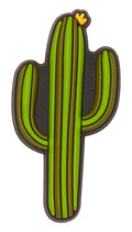 CACTUS Charms