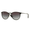 Ray-Ban™ Erika Metal 8053672565393 Black