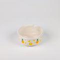 1 NOM Pineapple & Dog Food Storage Container