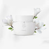 THEFACESHOP YEHWADAM JEJU MAGNOLIA PURE BRIGHTENING CREAM