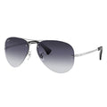 Ray-Ban™ 805289444312 Silver