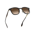 Ray-Ban™ 8053672730531 Havana On Matte Havana