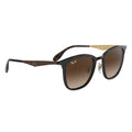 Ray-Ban™ 8053672730531 Havana On Matte Havana