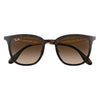 Ray-Ban™ 8053672730531 Havana On Matte Havana