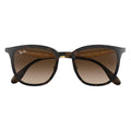 Ray-Ban™ 8053672730531 Havana On Matte Havana